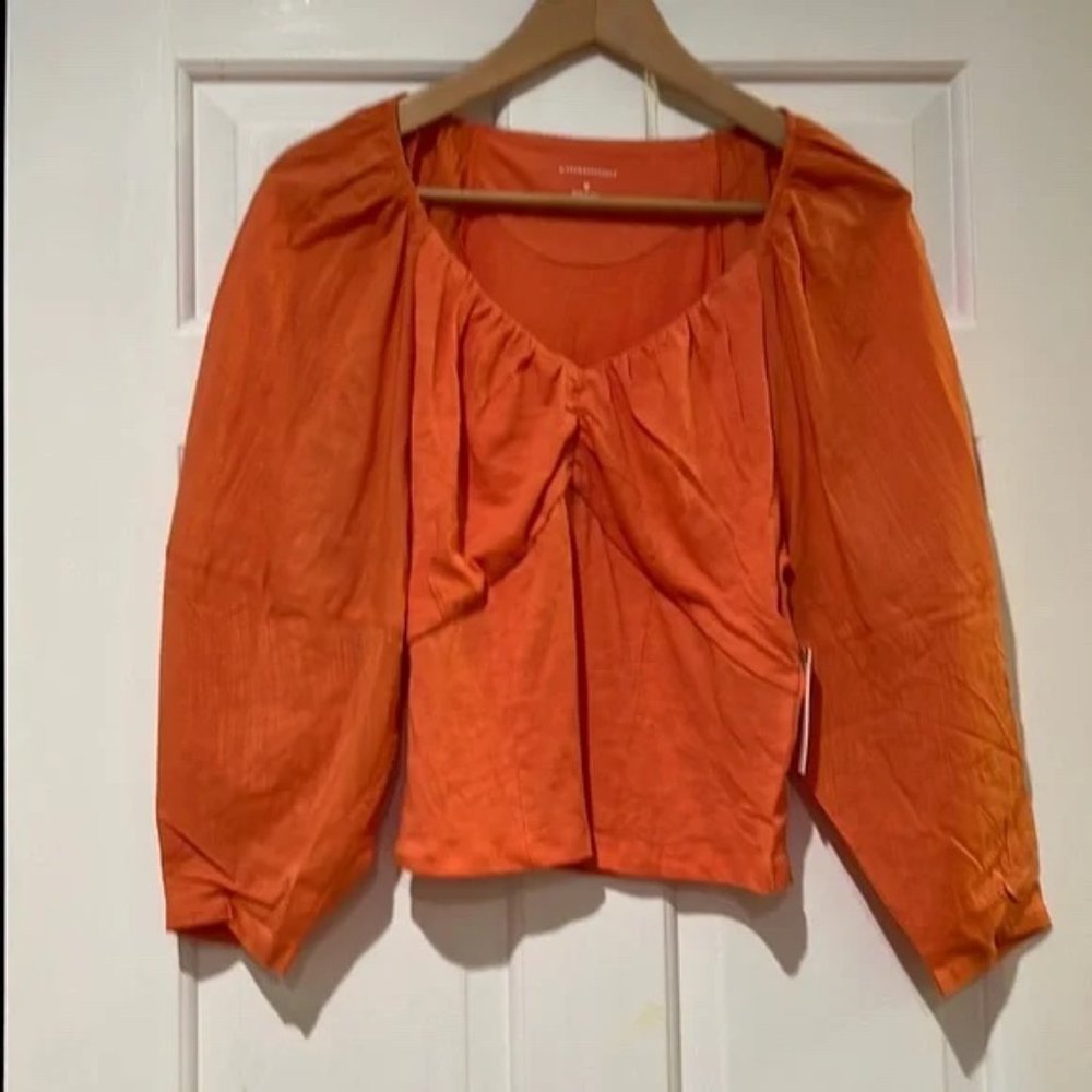 NWT Anthropologie corset seamed puff sleeve shirt